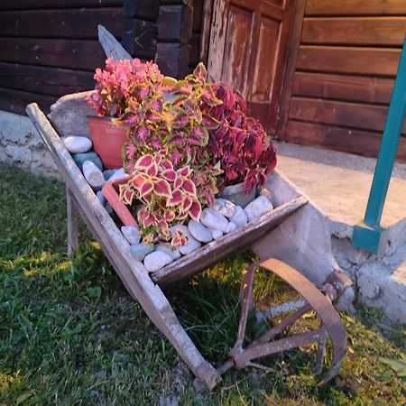 Bungalovi Vukovic Mojkovac Dış mekan fotoğraf