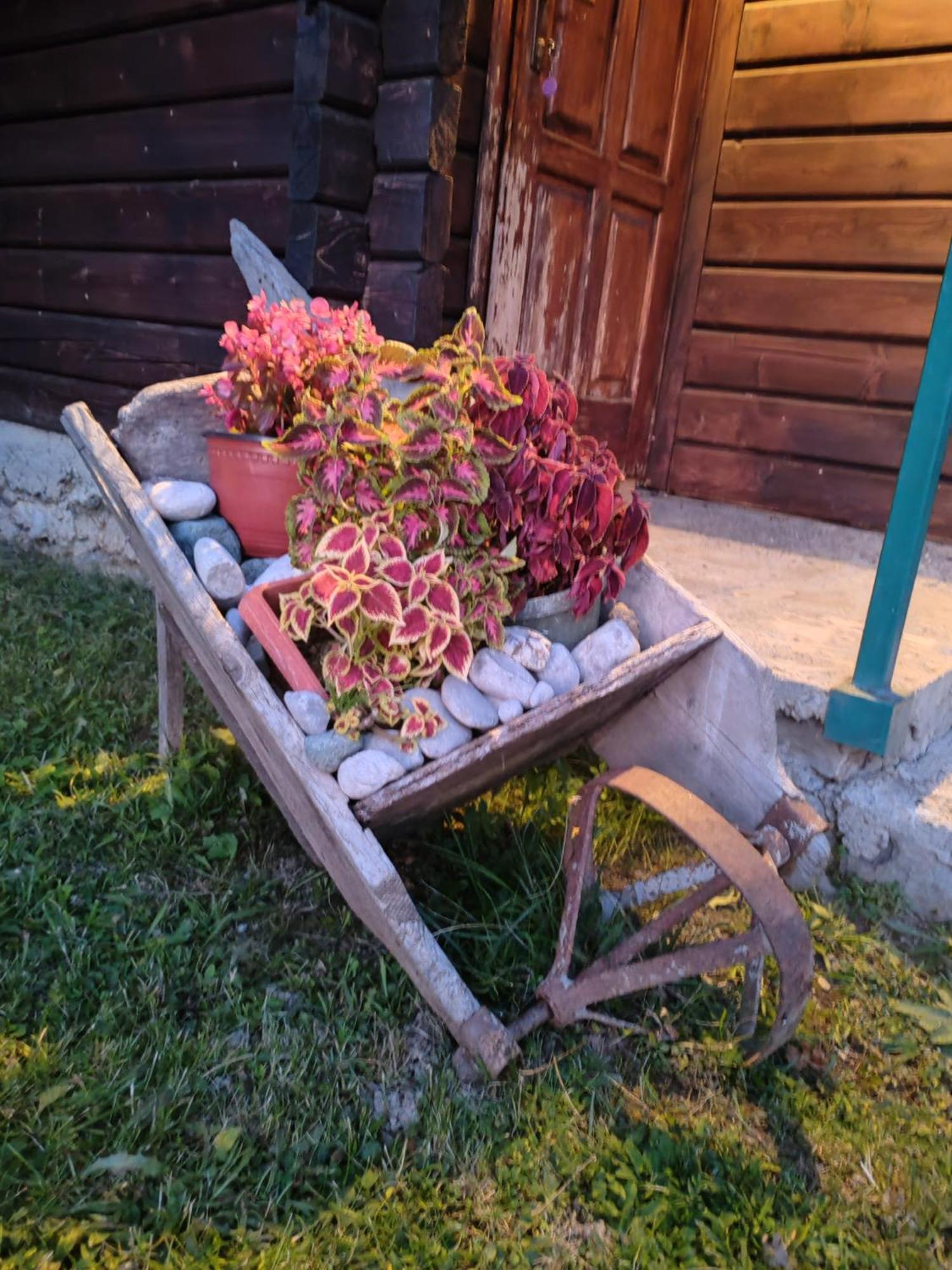 Bungalovi Vukovic Mojkovac Dış mekan fotoğraf
