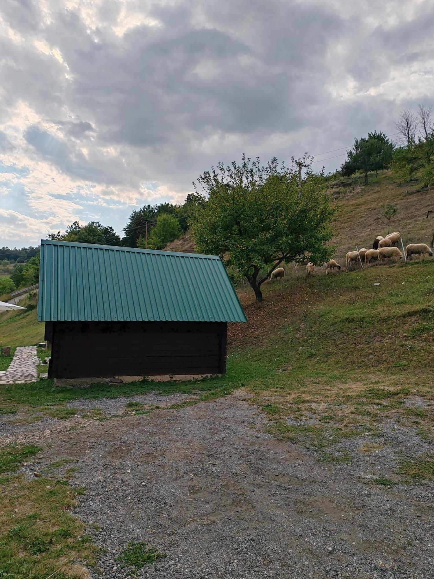 Bungalovi Vukovic Mojkovac Dış mekan fotoğraf